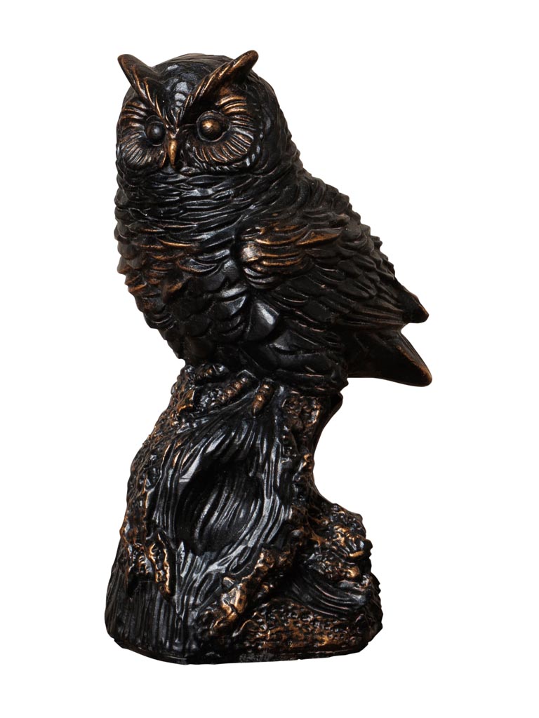 High owl on a branch - 2