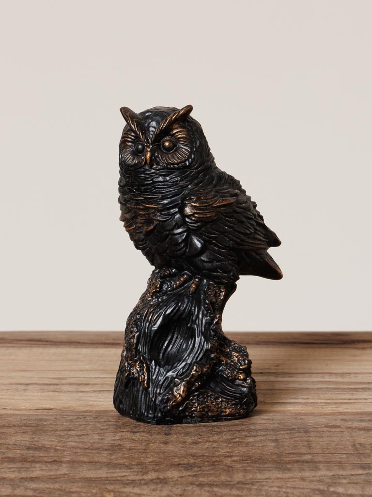 High owl on a branch - 1