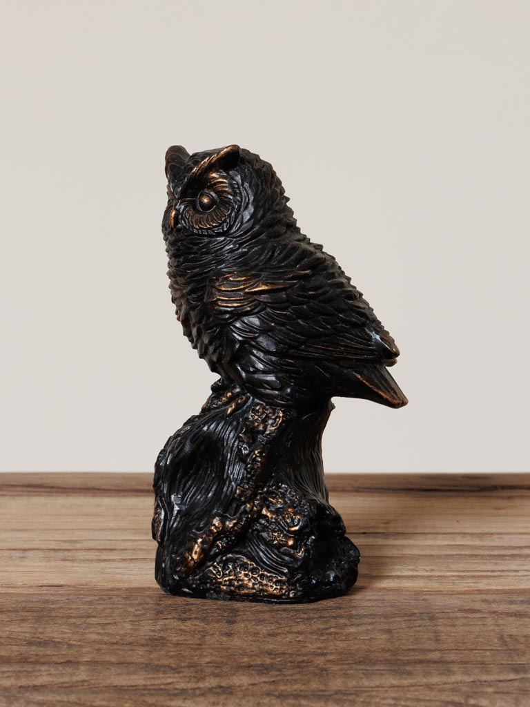 High owl on a branch - 3