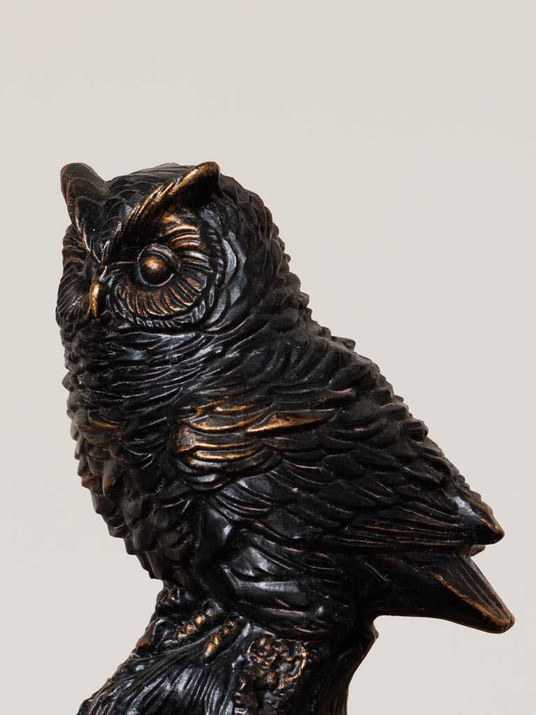 High owl on a branch - 5