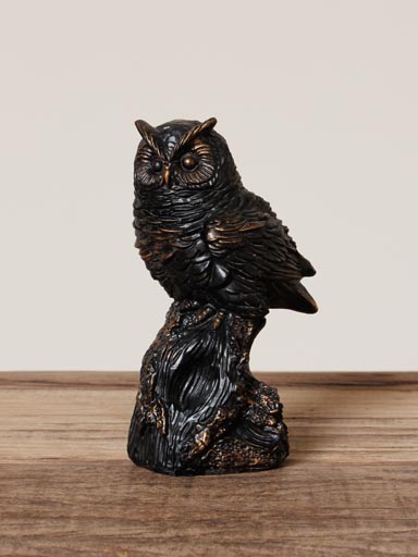 High owl on a branch
