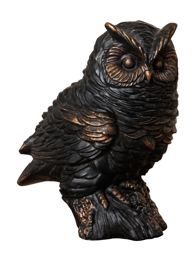 Owl on a little branch - 2