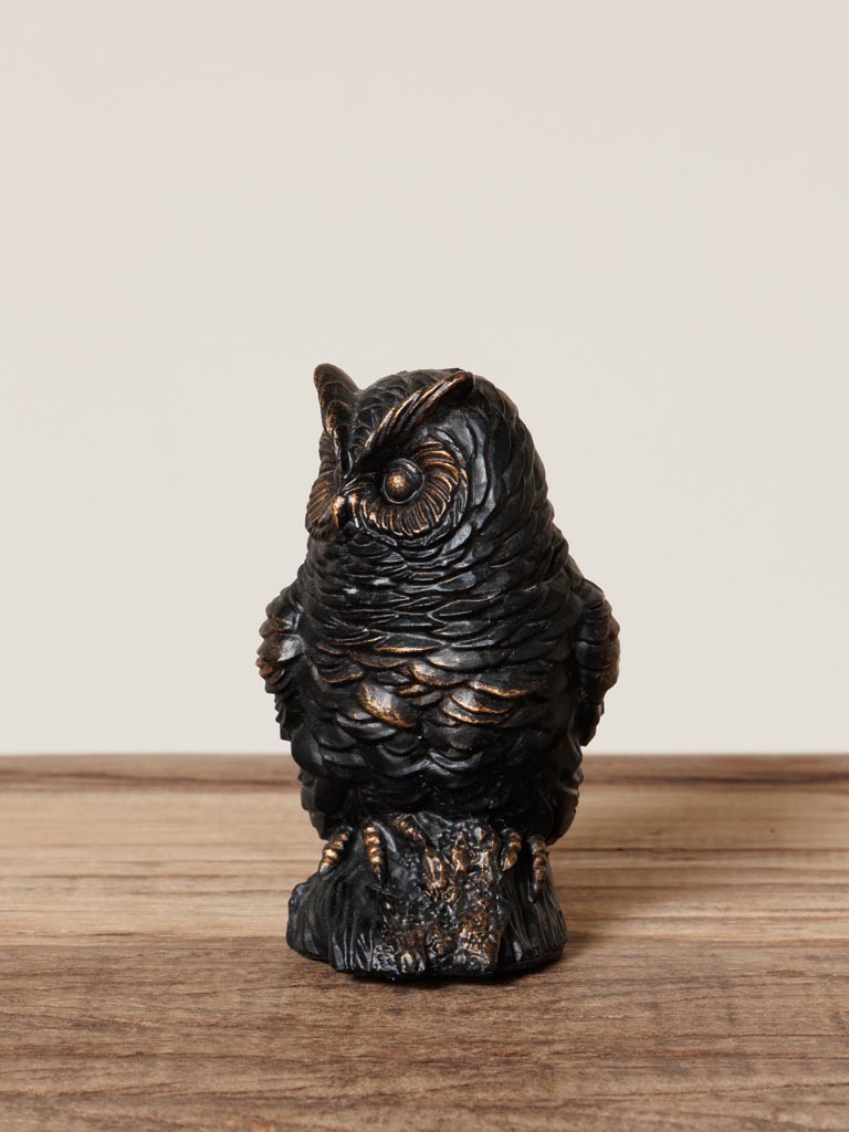 Owl on a little branch - 3