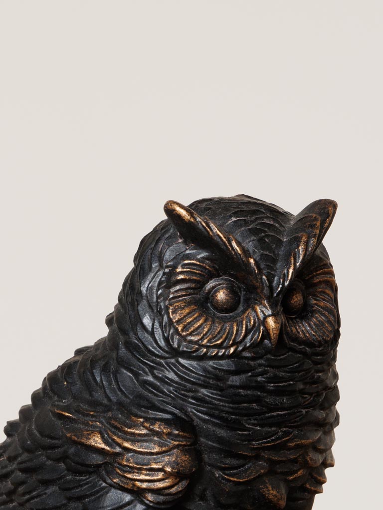 Owl on a little branch - 5