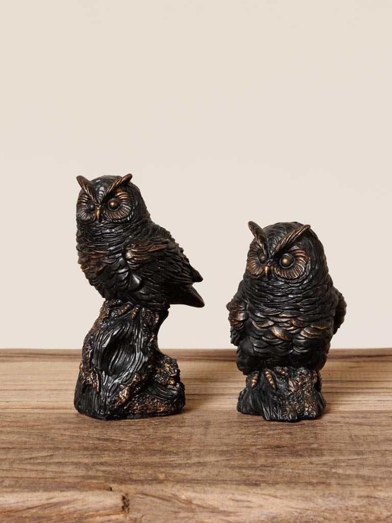 Owl on a little branch - 4
