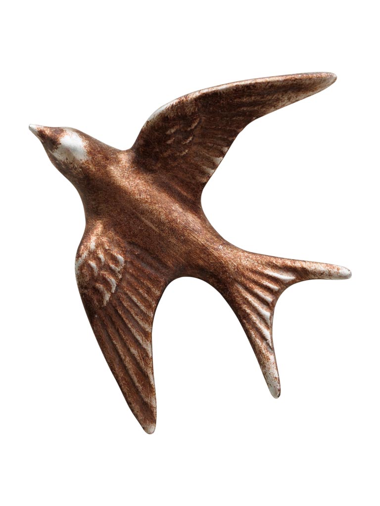 Petite Hirondelle murale cuivrée - 2