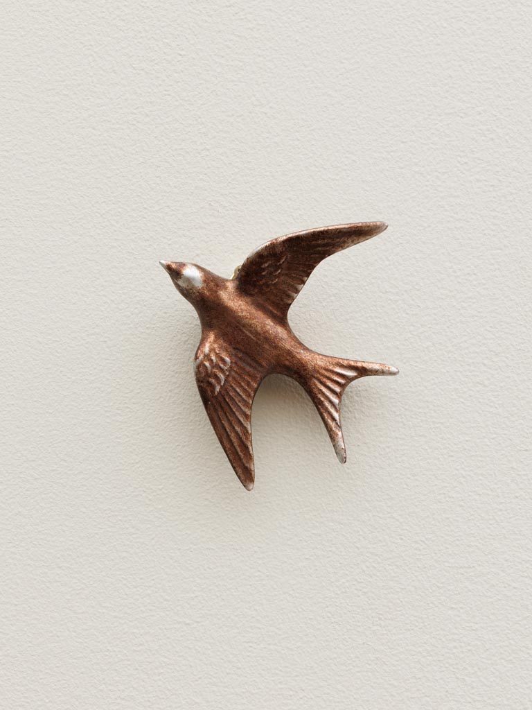 Petite Hirondelle murale cuivrée - 1