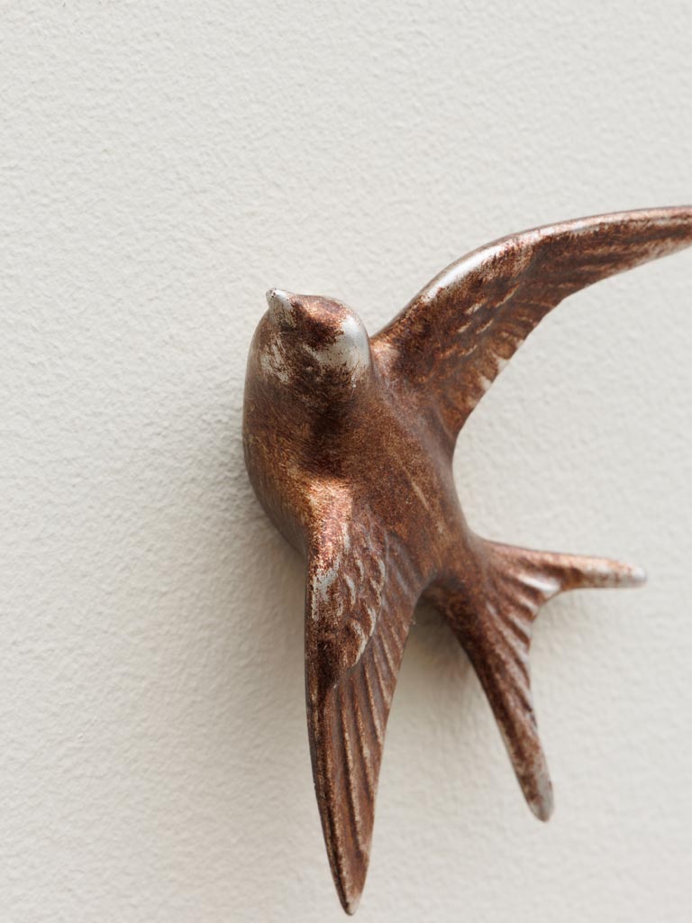 Petite Hirondelle murale cuivrée - 4