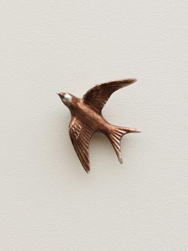Petite Hirondelle murale cuivrée