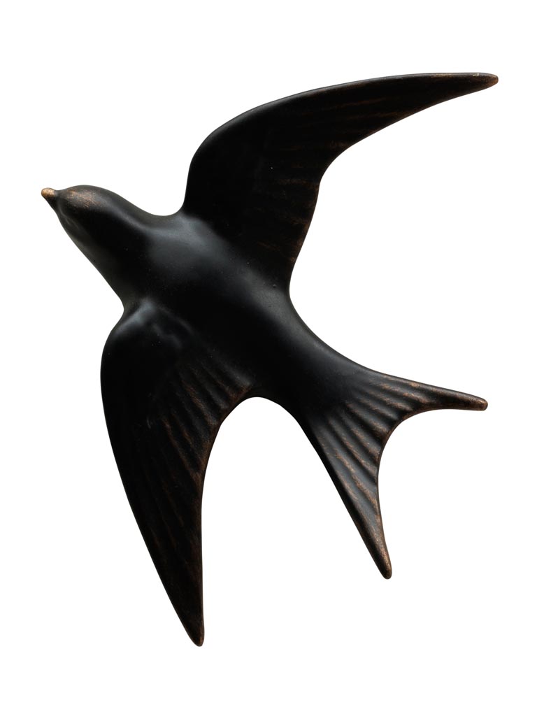 Grande hirondelle murale noire - 2