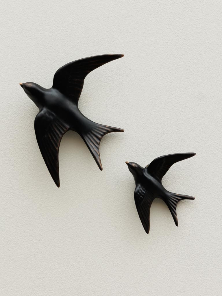 Grande hirondelle murale noire - 3