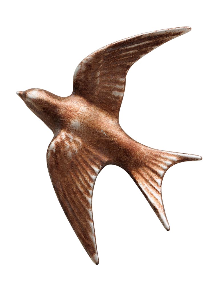 Grande hirondelle murale cuivrée - 2
