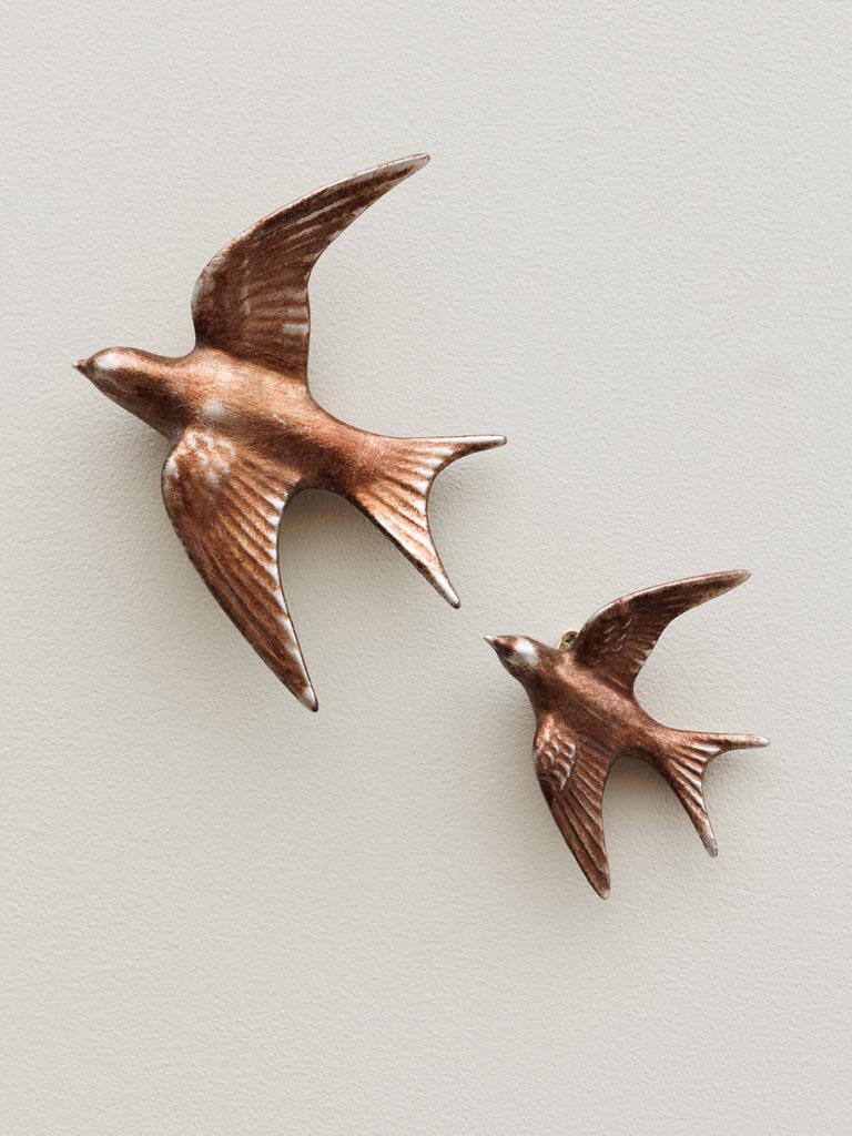 Grande hirondelle murale cuivrée - 3
