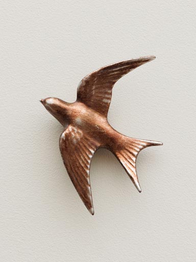 Grande hirondelle murale cuivrée