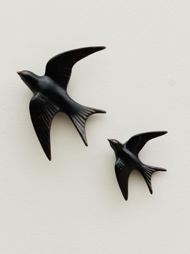 Petite hirondelle murale noire - 3