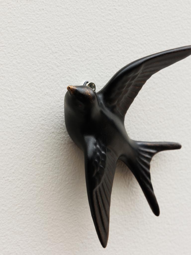 Petite hirondelle murale noire - 4