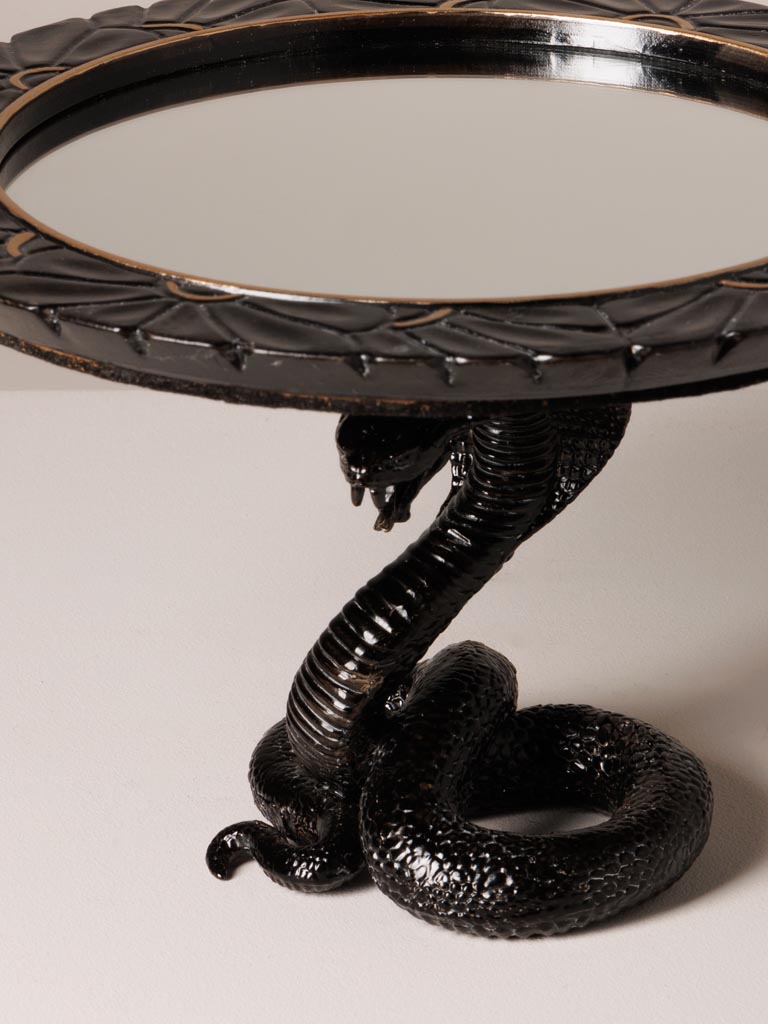 Mirror tray black snake base - 4