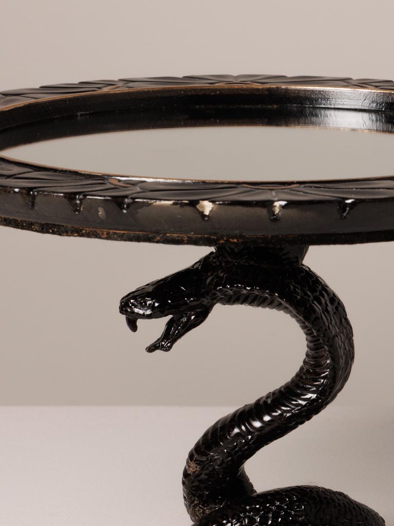 Mirror tray black snake base - 2