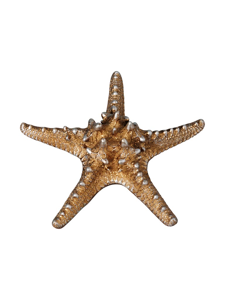 Etoile de mer dorée - 2