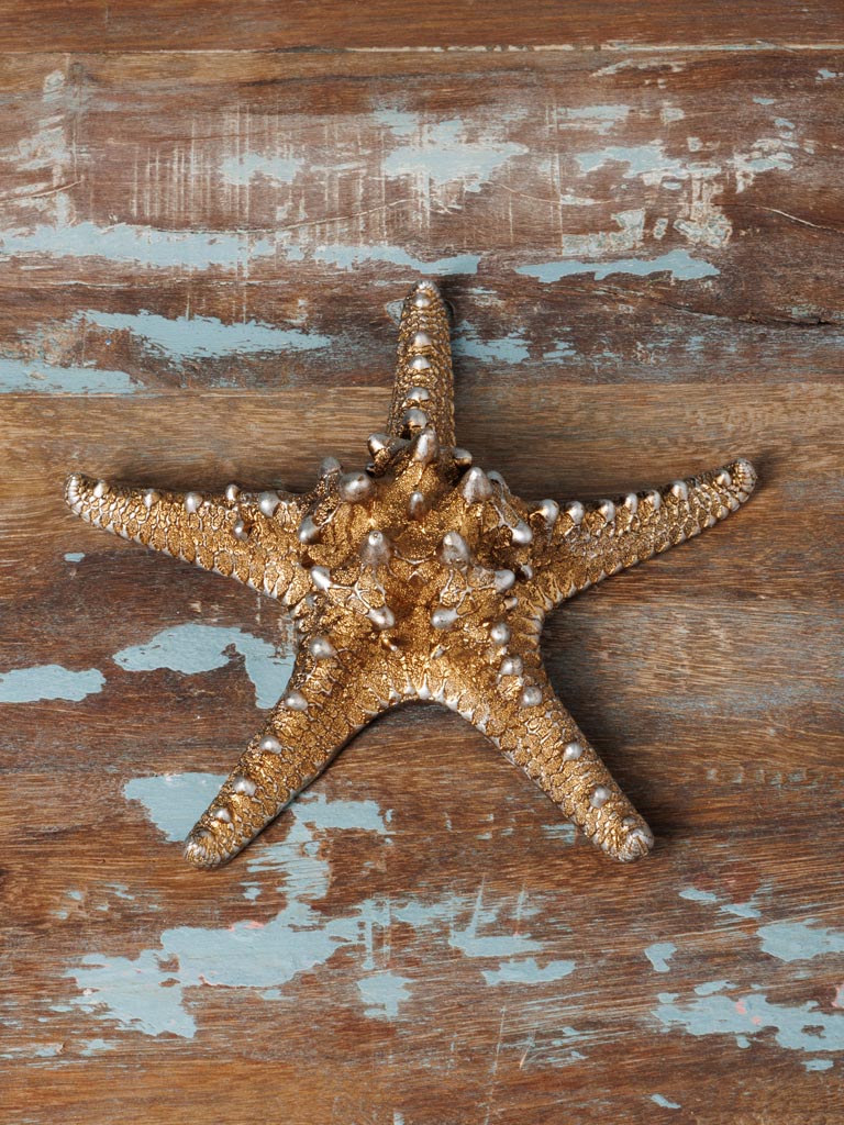 Etoile de mer dorée - 1