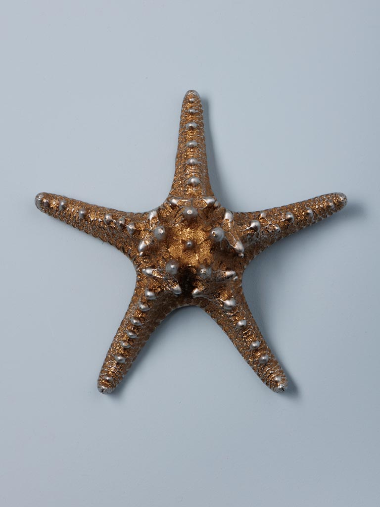 Etoile de mer dorée - 4