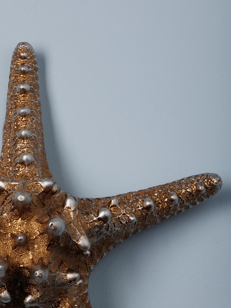 Etoile de mer dorée - 6
