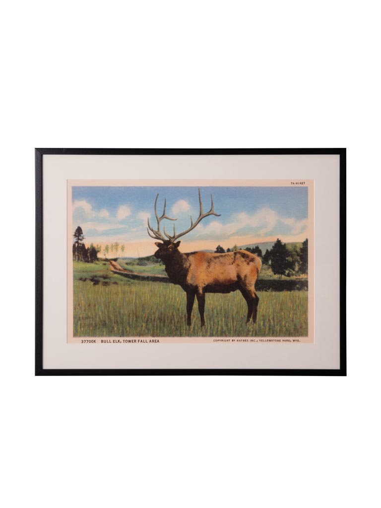 Frame with deer postcard style - 2