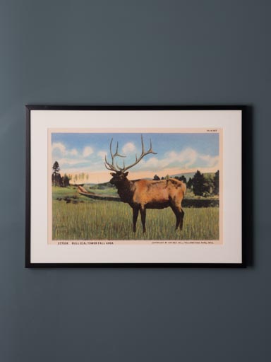 Frame with deer postcard style