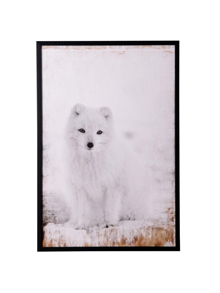 Frame white little polar fox - 2