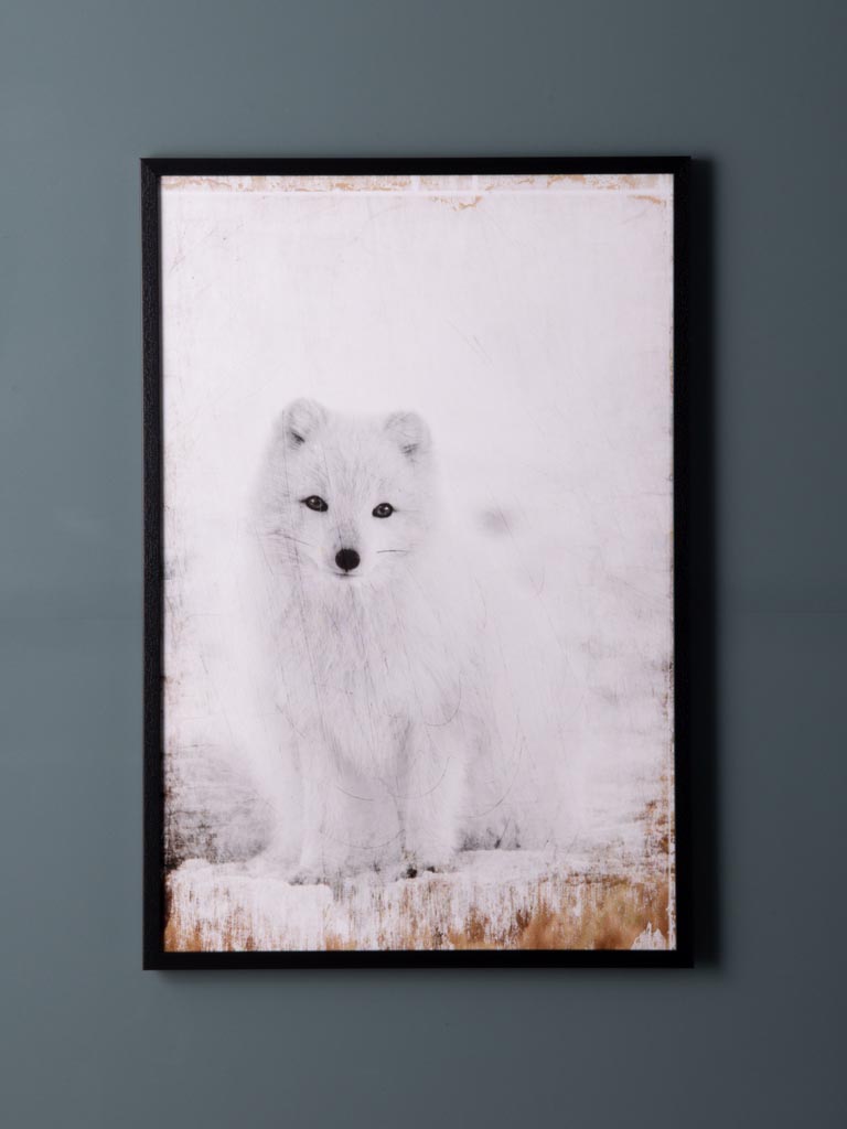 Frame white little polar fox - 1