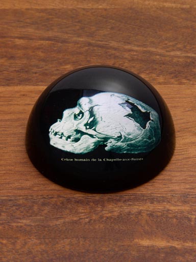 Skull paperweight