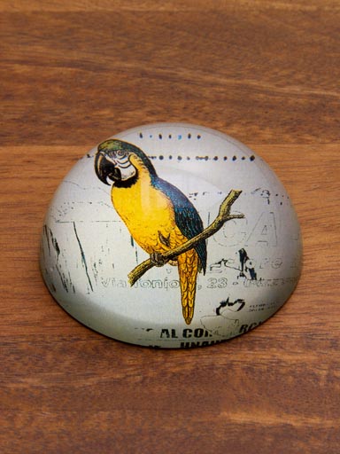 Parrot paperweight