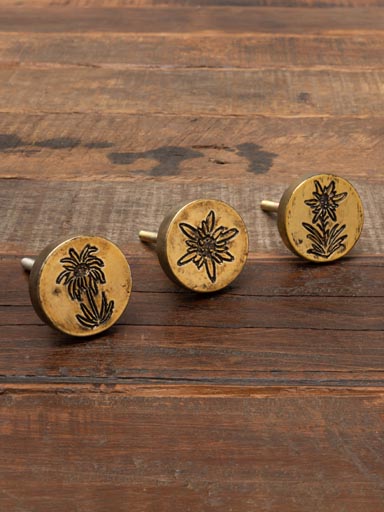 S/3 knobs Edelweiss