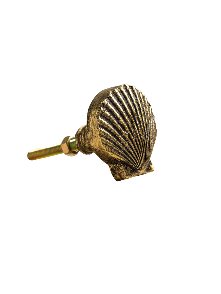 Antique gold shell knob - 2