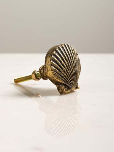 Antique gold shell knob