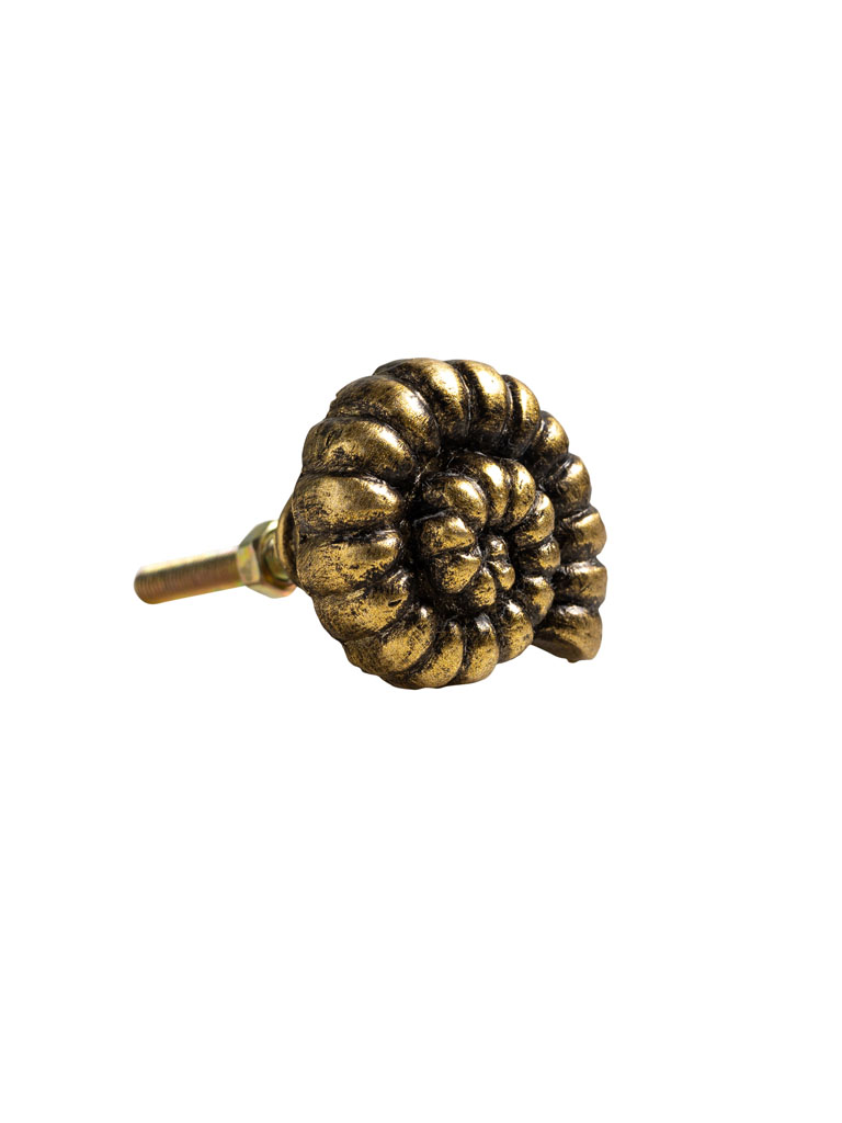 Antique gold shell knob - 2
