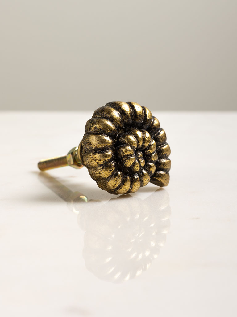 Antique gold shell knob - 1