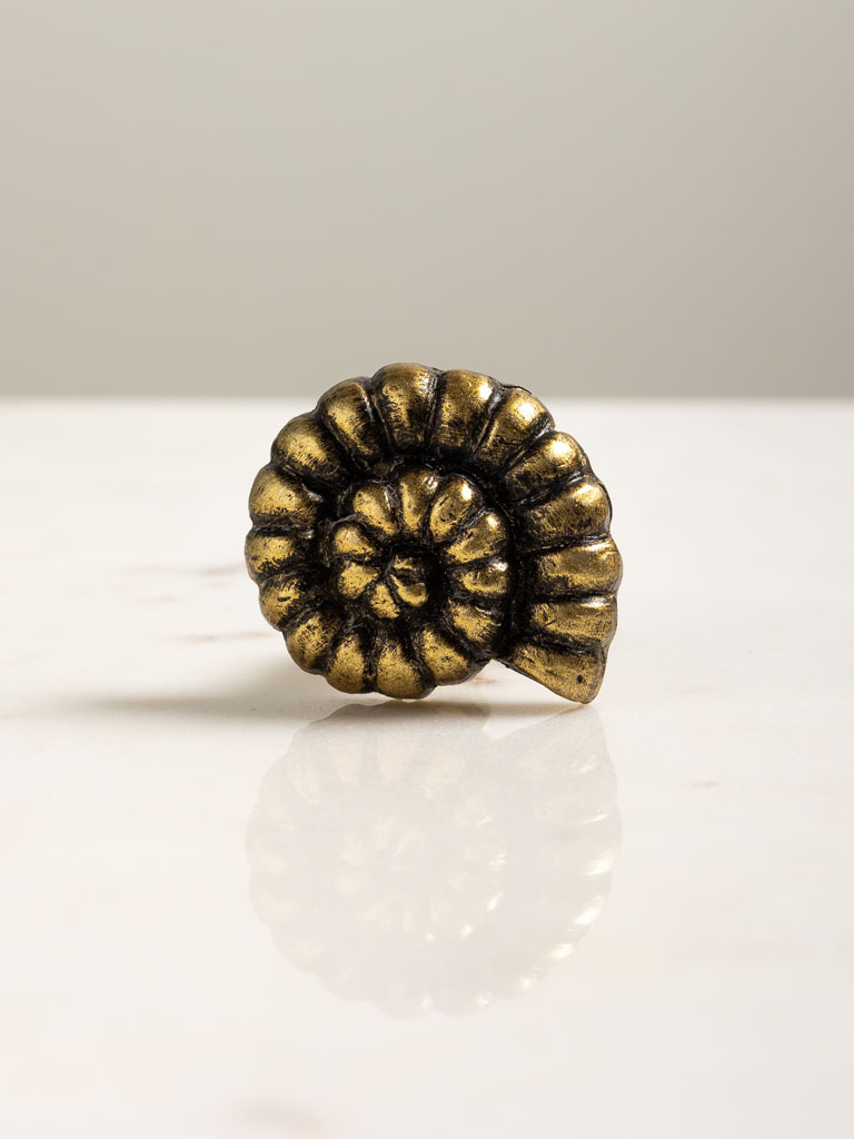 Antique gold shell knob - 3