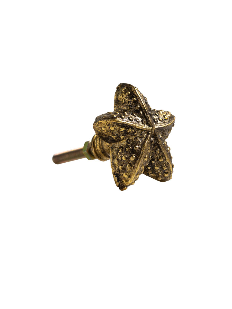 Antique gold starfish knob - 2