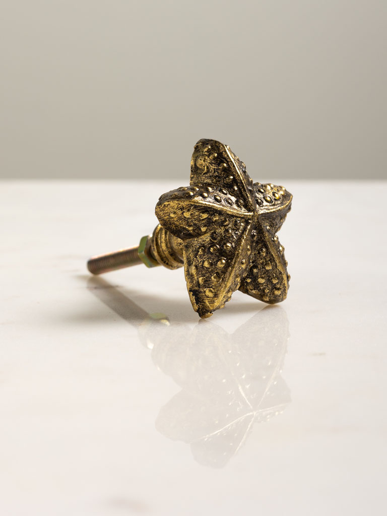 Antique gold starfish knob - 1