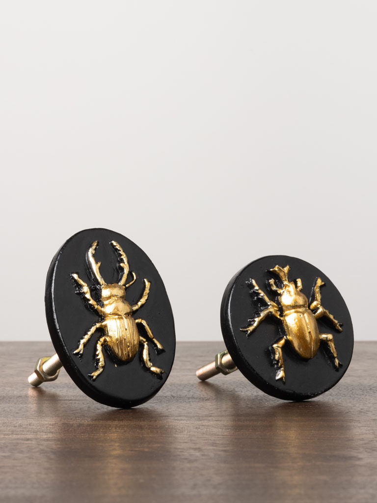 S/2 insects knobs - 1