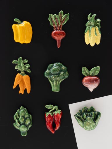 Vegetable magnet x 9