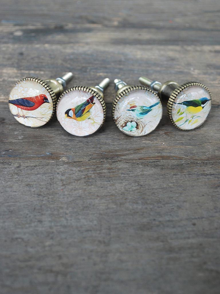 S/4 boutons de porte oiseaux perchés. - 1