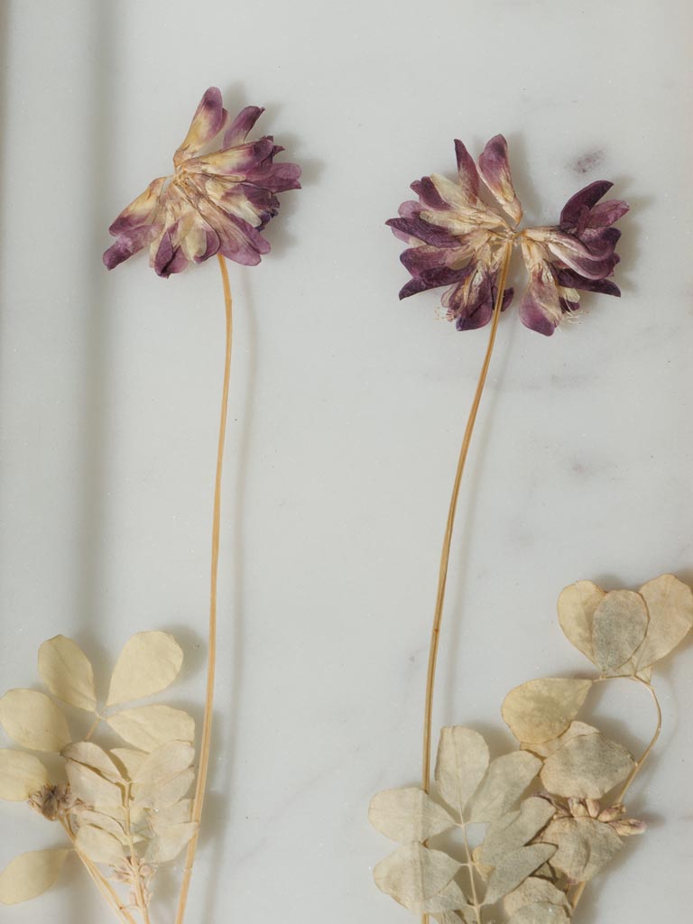 Trinket tray with dry flowers in glass frame - 5
