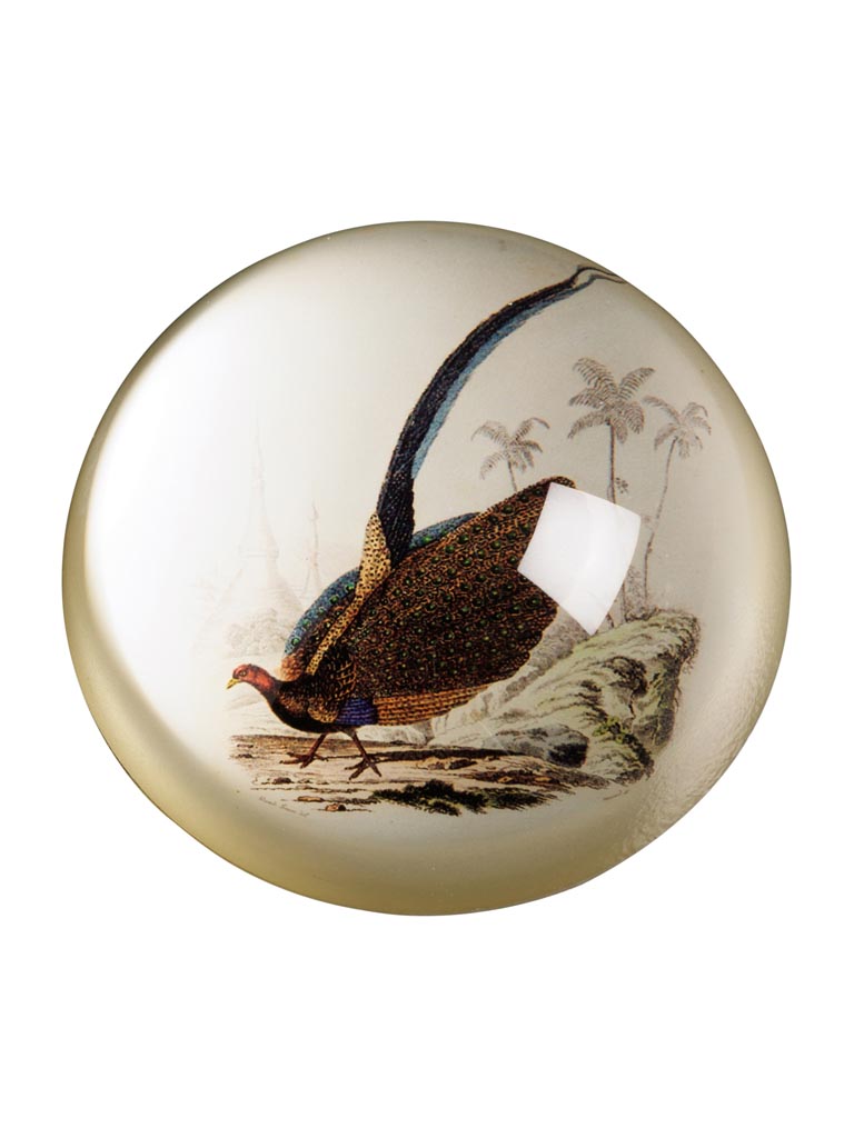 Paperweight Migratory - 2