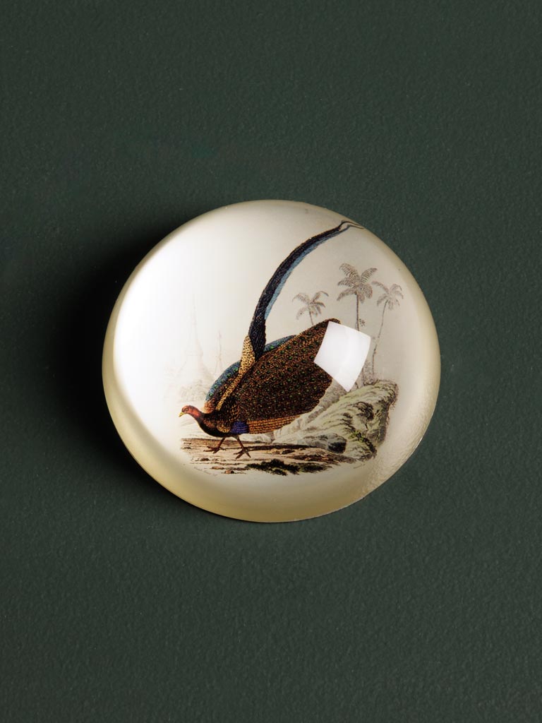 Paperweight Migratory - 1