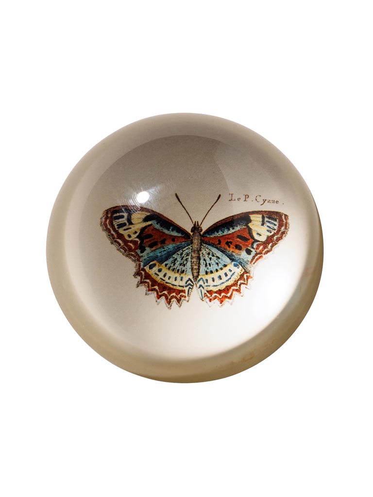 Paperweight colourful Butterfly - 2