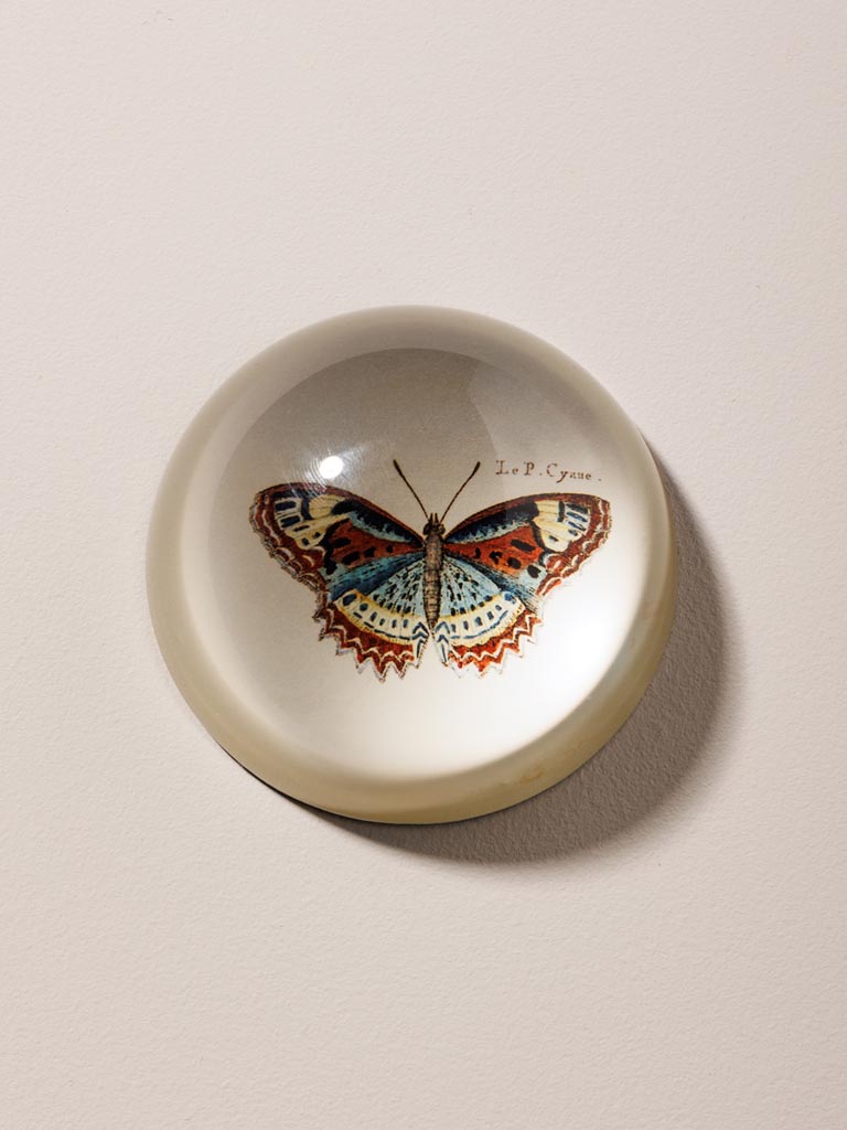 Paperweight colourful Butterfly - 1