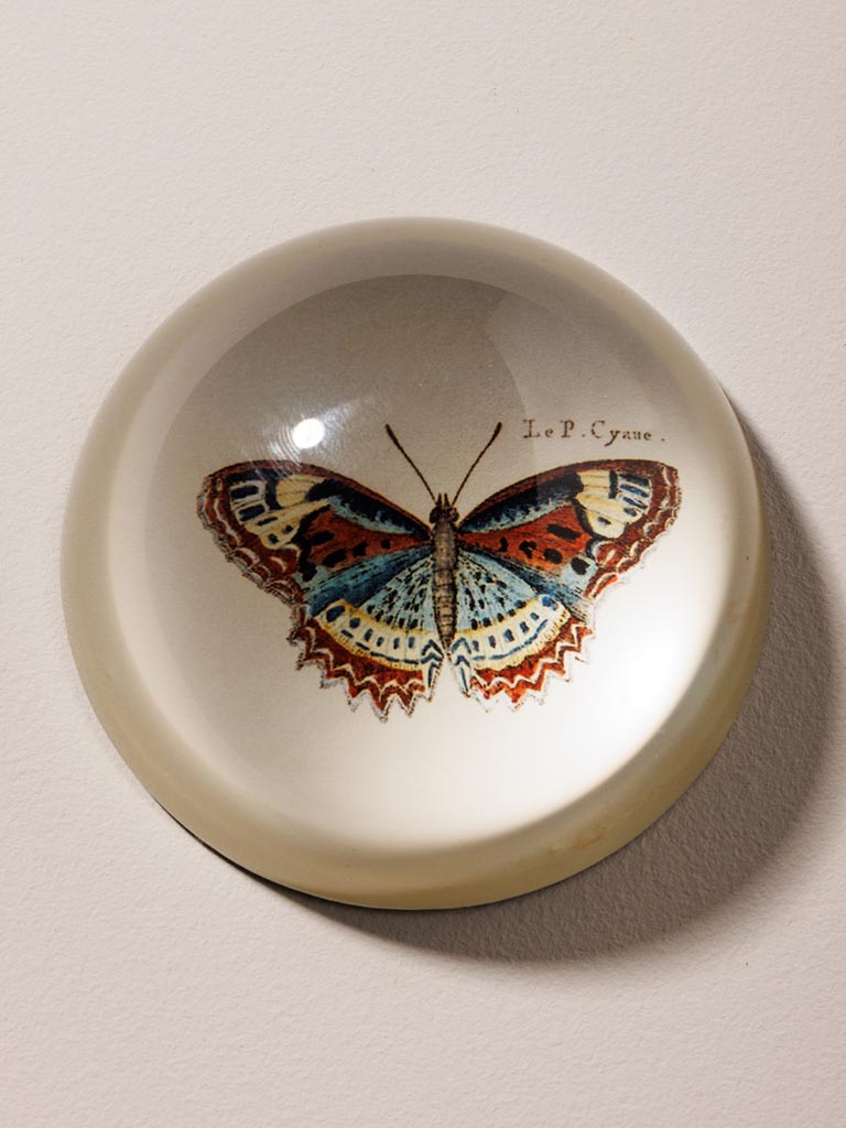 Paperweight colourful Butterfly - 3