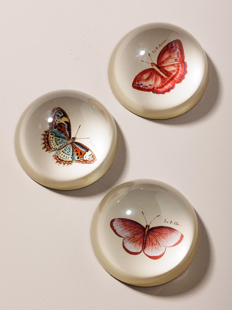 Paperweight colourful Butterfly - 4